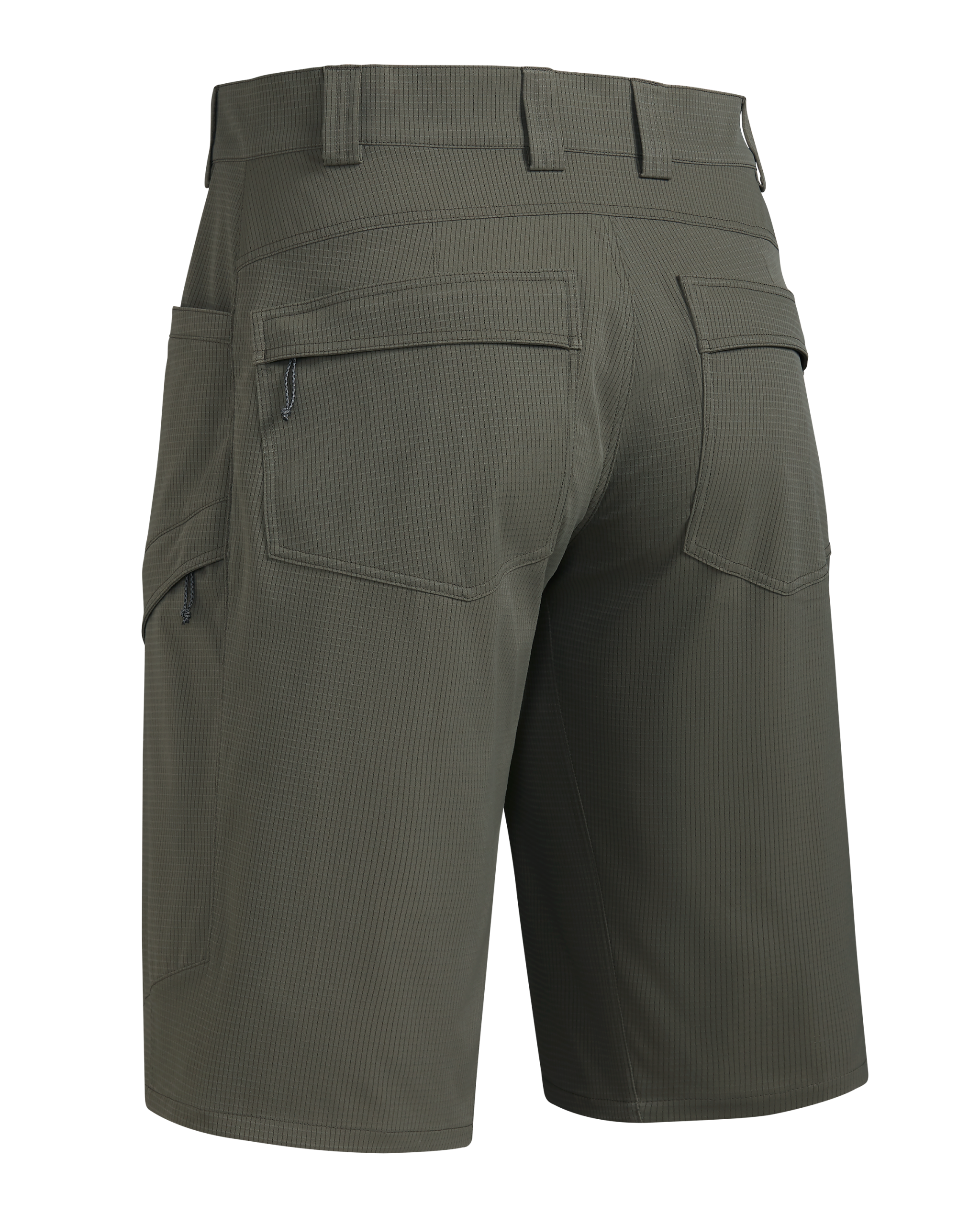 Tiburon 13″ Short | Ash - 图片 2