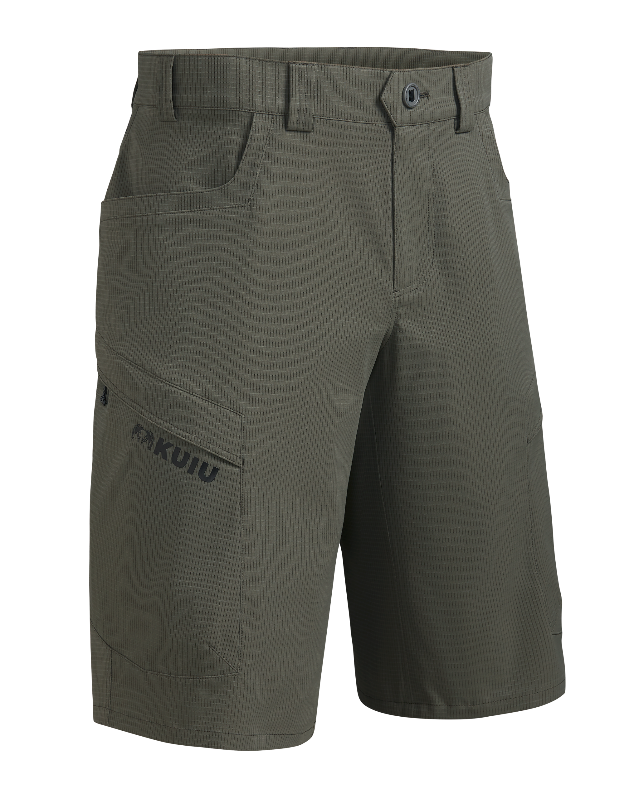 Tiburon 13″ Short | Ash