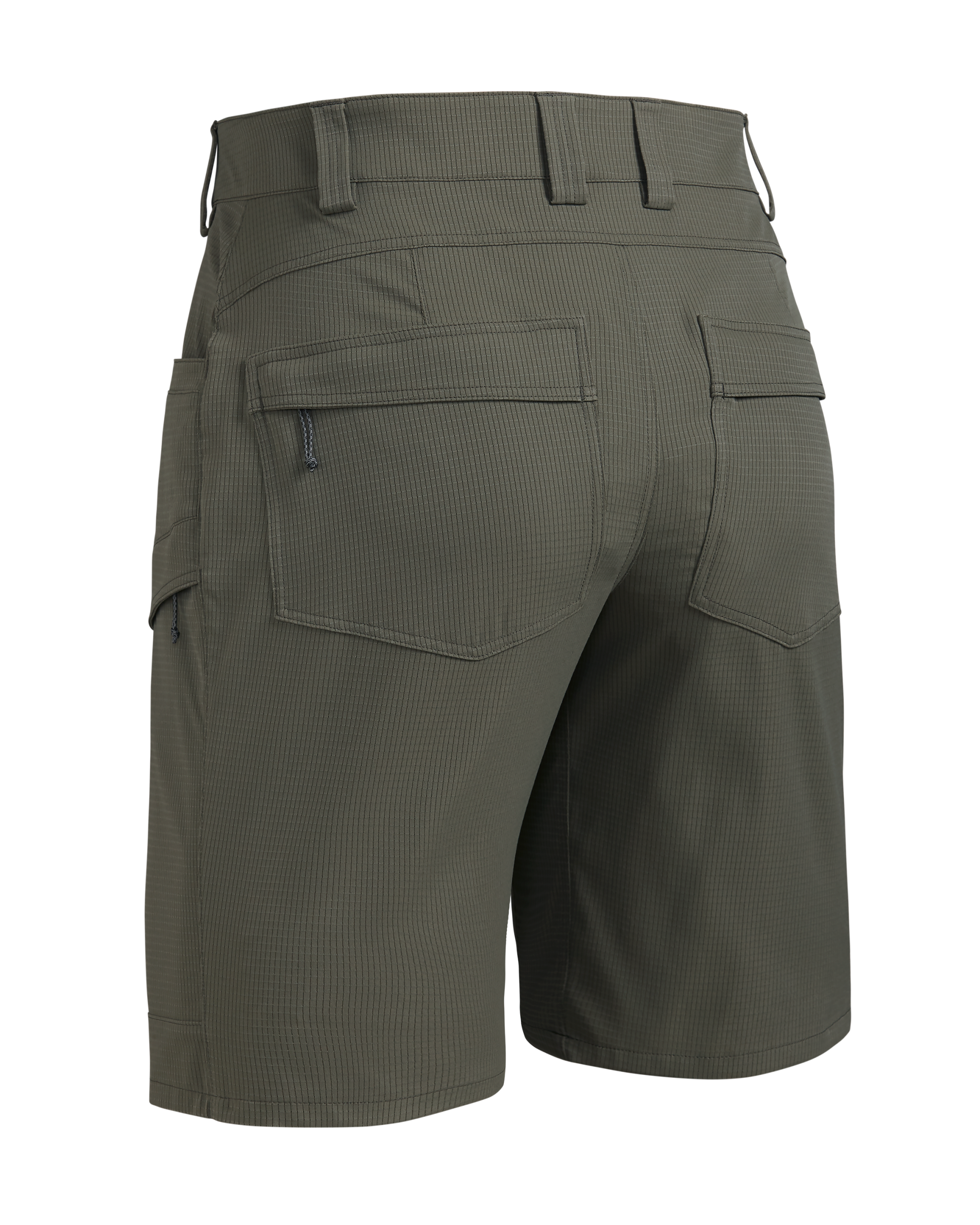 Tiburon 10″ Short | Ash - 图片 2