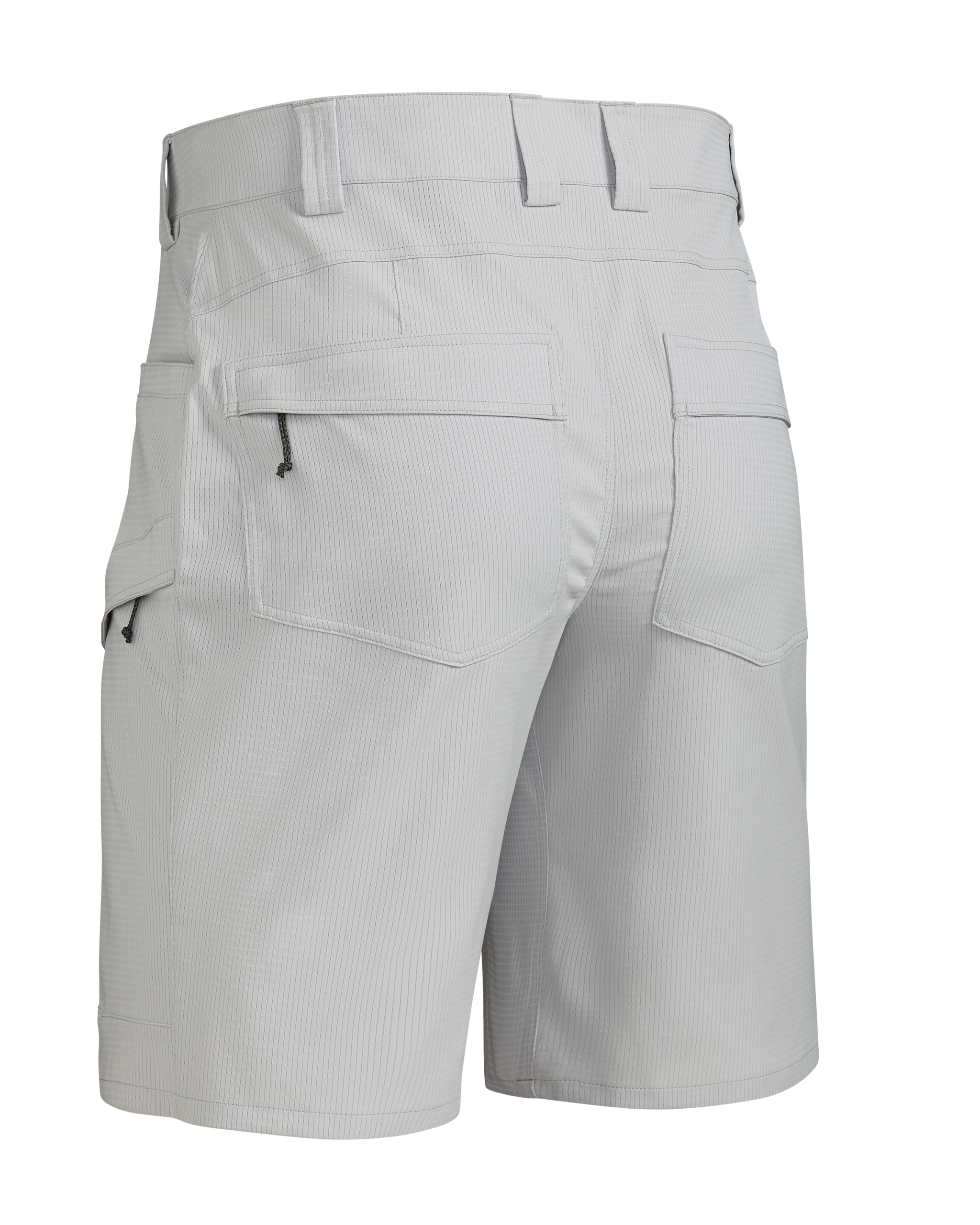 Tiburon 10″ Short | Lunar - 图片 2
