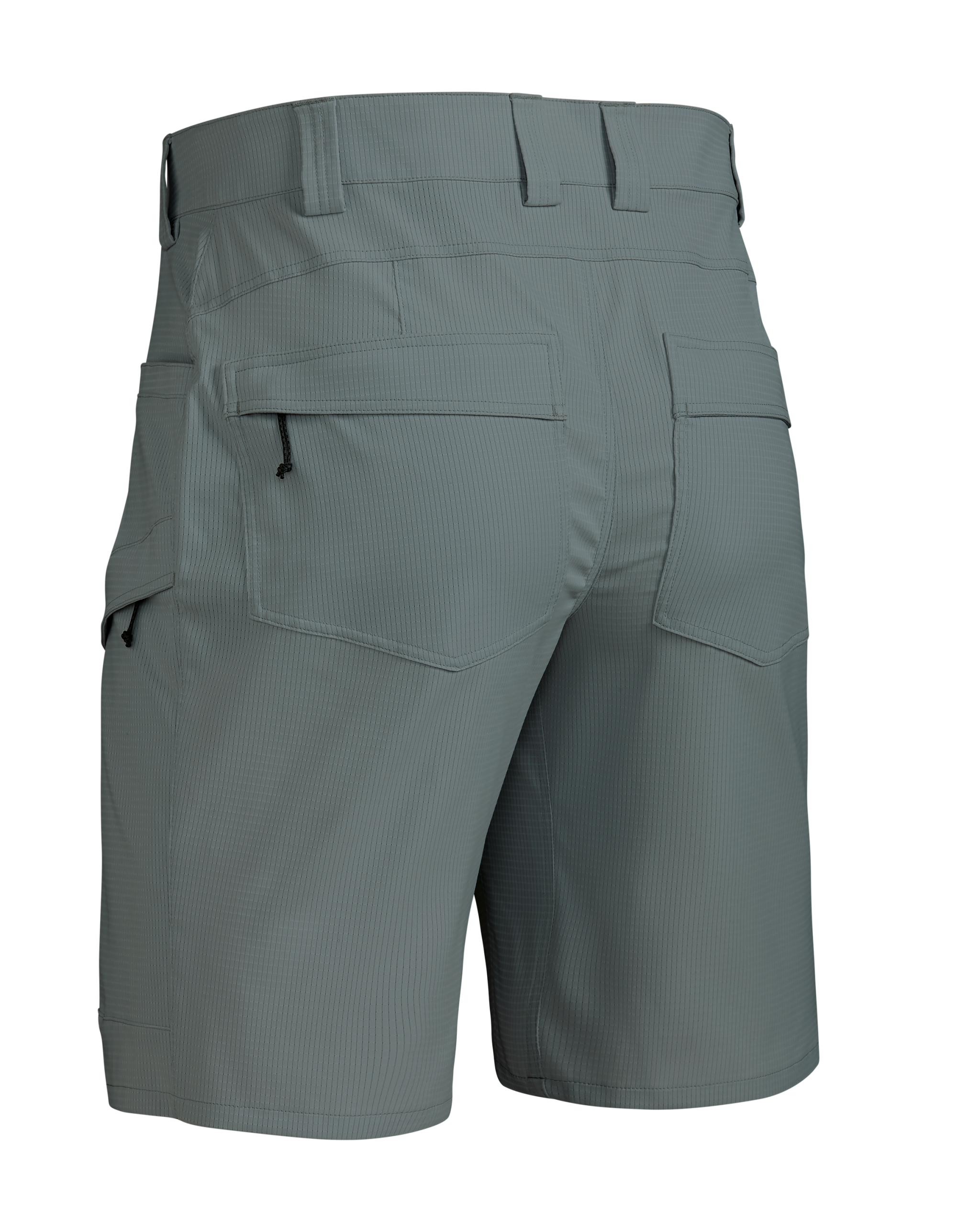 Tiburon 10″ Short | Slate - 图片 2