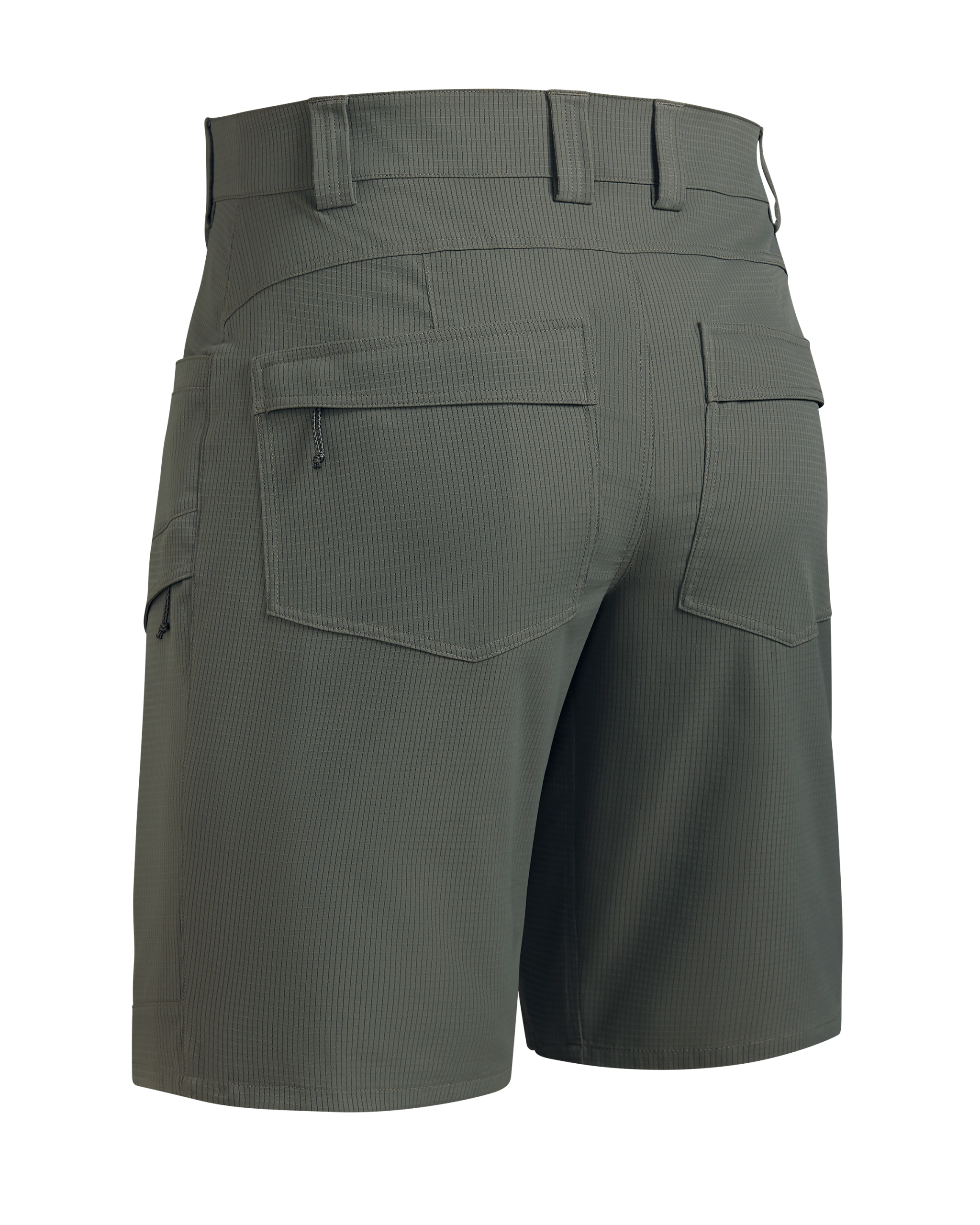 Tiburon 10″ Short | Stone - 图片 2