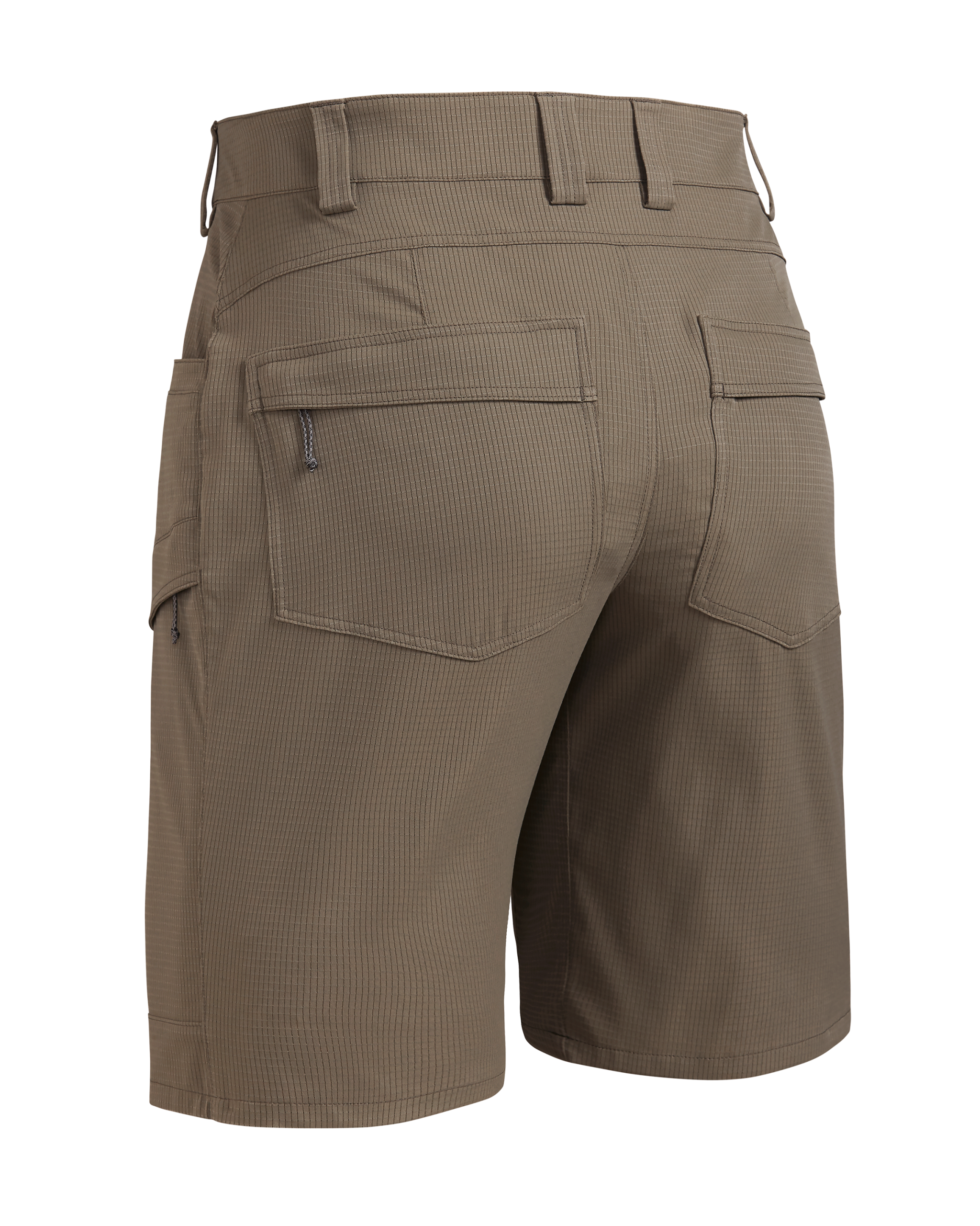 Tiburon 10″ Short | Whetstone - 图片 2