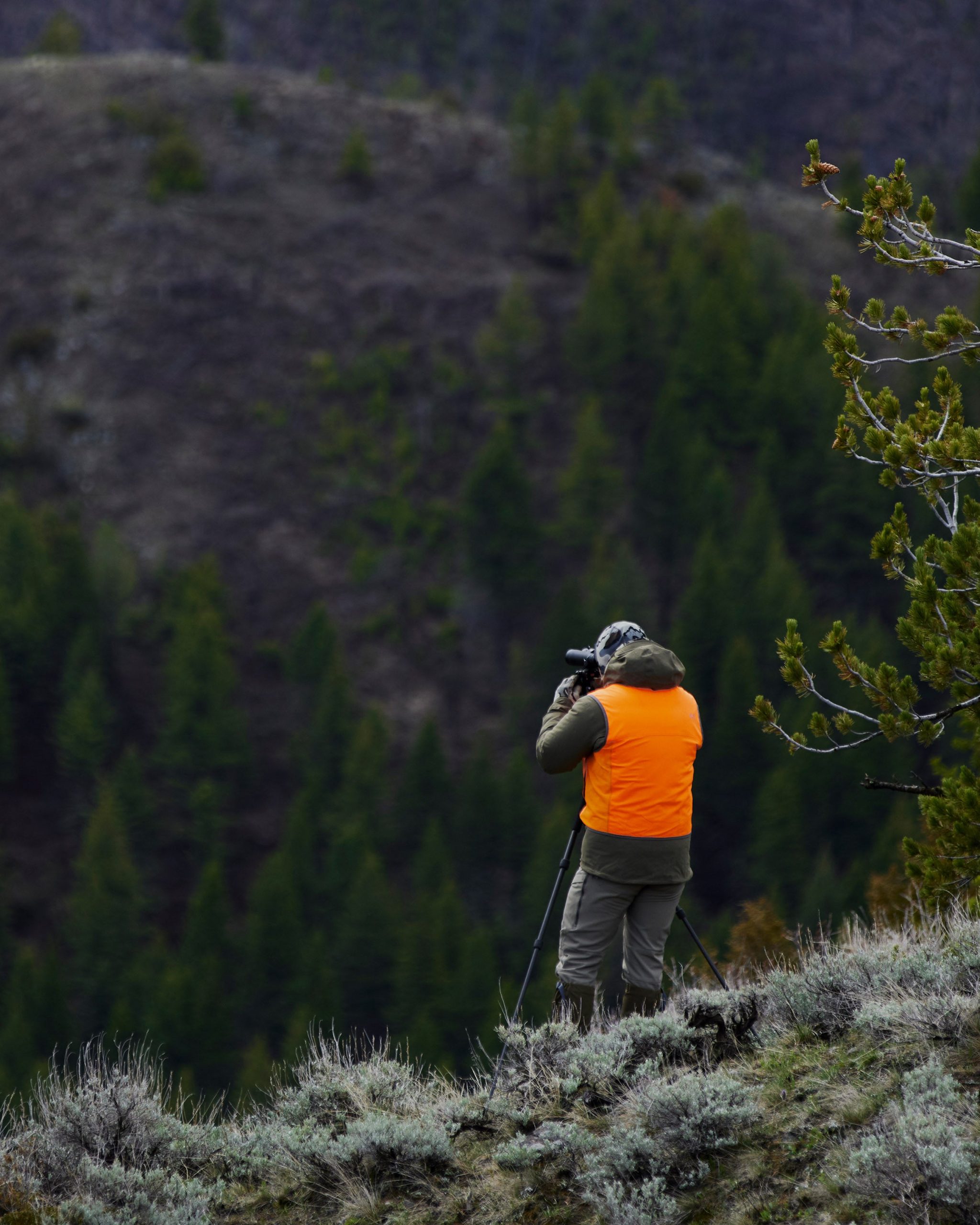 Precision Hunter Vest | Blaze Orange - 图片 5