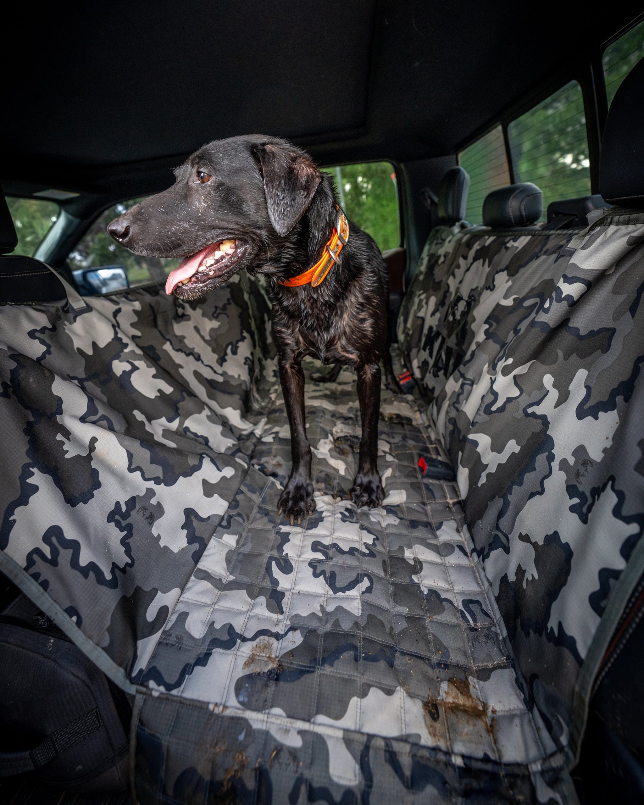Quilted K9 Seat Cover | Vias Storm - 图片 5