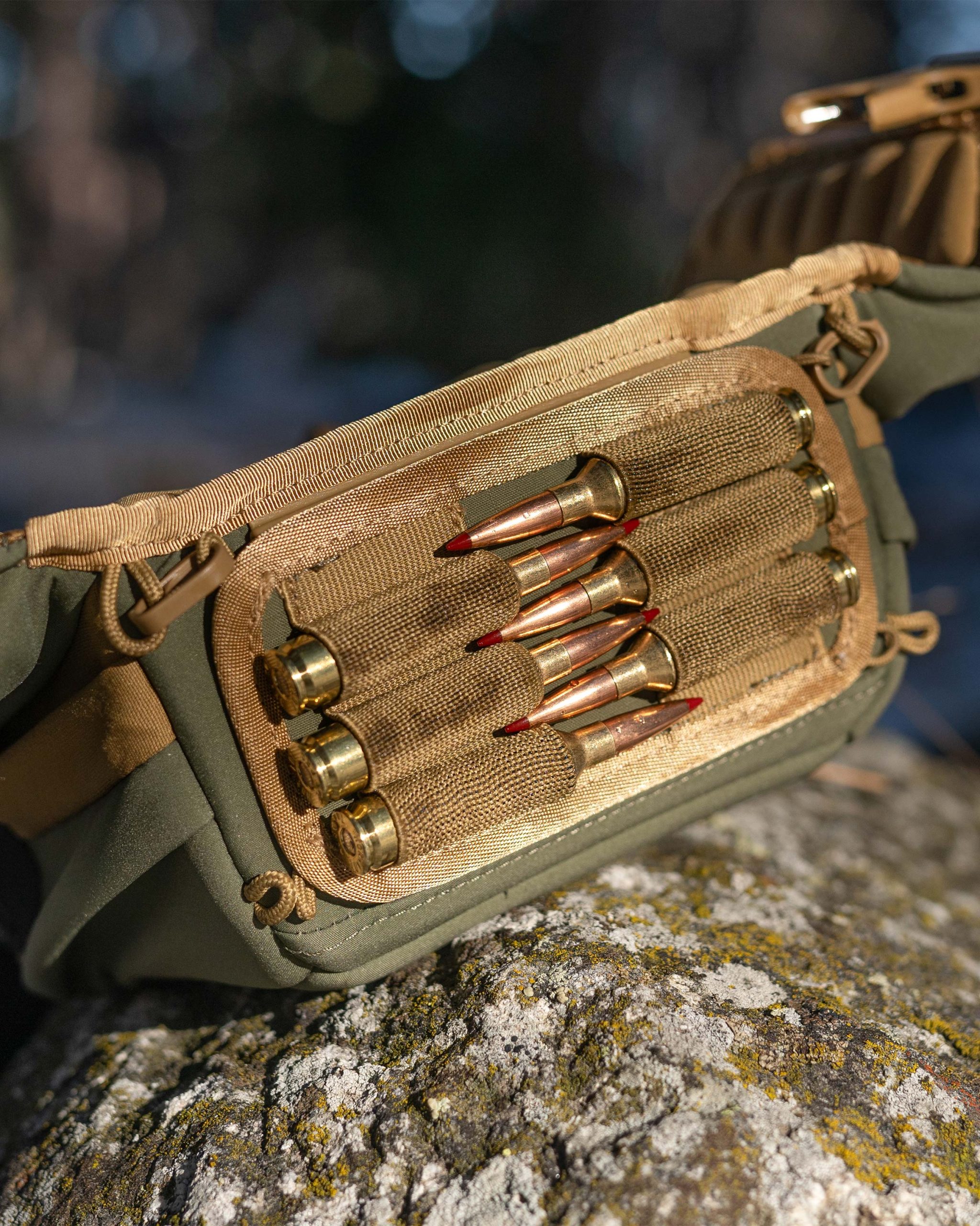 PRO Chest Pack | Evergreen - 图片 15