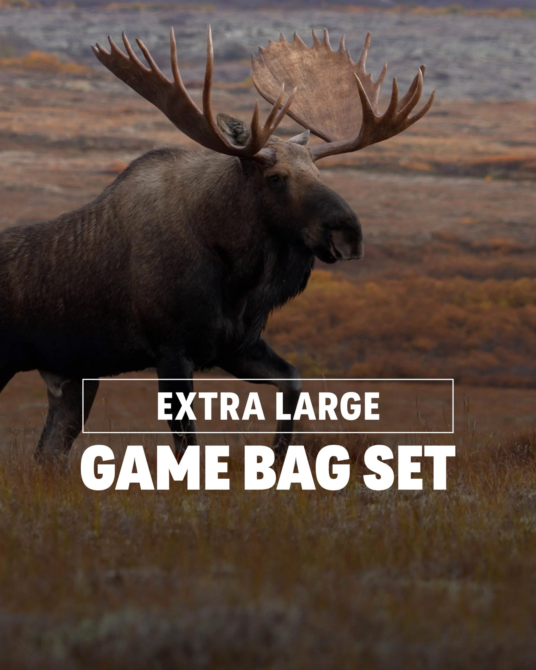 Moose/Bison XL Game Bag Set | White-Orange - 图片 2